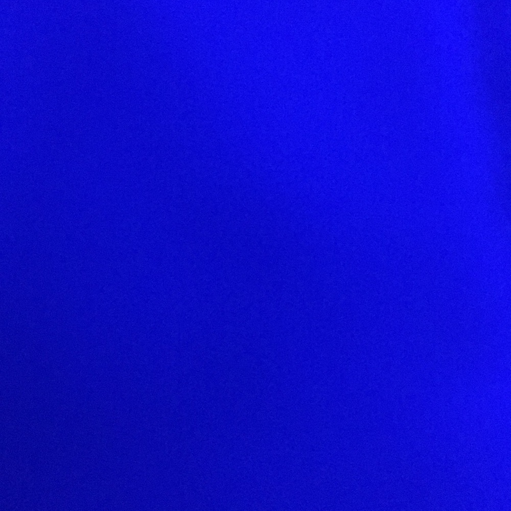 Meet your Posher, Giana